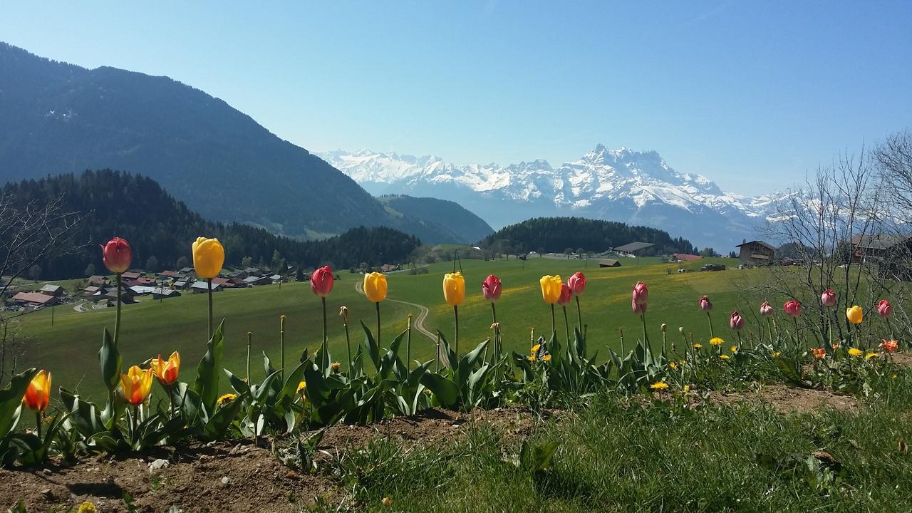 Villa Winterfell Leysin Esterno foto