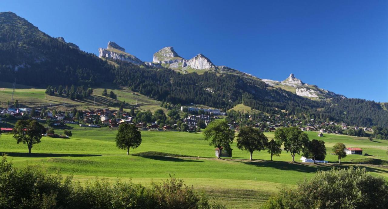 Villa Winterfell Leysin Esterno foto