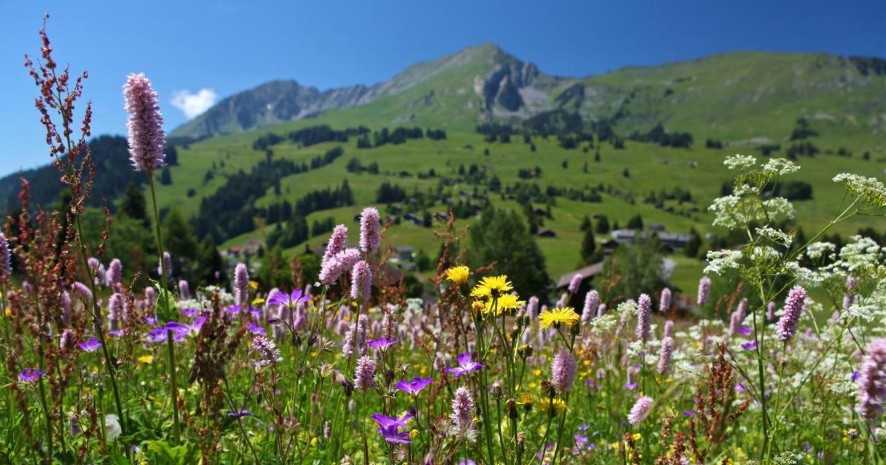 Villa Winterfell Leysin Esterno foto